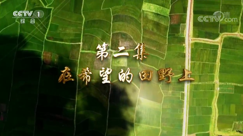 《我们一起走过——致敬改革开放40周年》第二集 在希望的田野上