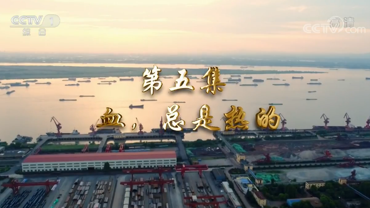 《我们一起走过——致敬改革开放40周年》第五集 血，总是热的