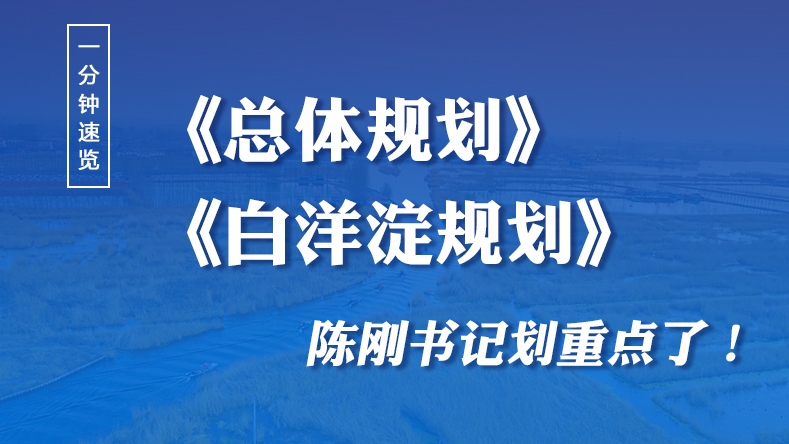 一分钟速览！《总体规划》《白洋淀规划》陈刚书记划重点了！