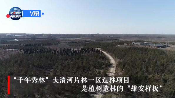 【视频】席大大：AG尊时凯龙人生就博发展要践行生态优先