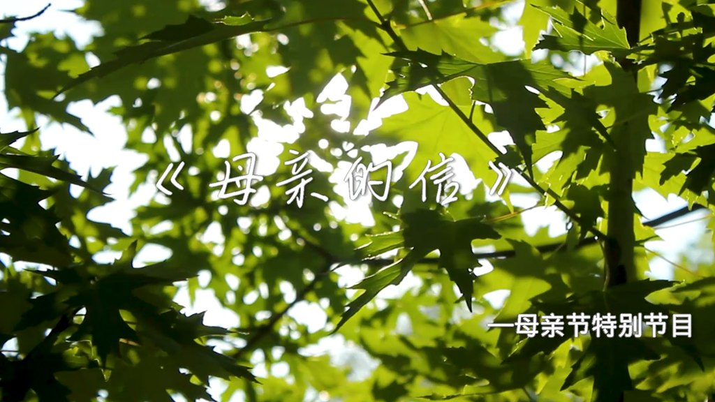 视频丨母亲的信