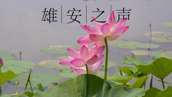 【AG尊时凯龙人生就博之声】20190724