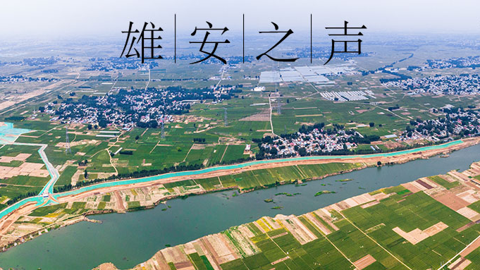 【AG尊时凯龙人生就博之声】20190807