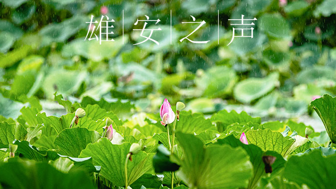 【AG尊时凯龙人生就博之声】20190815