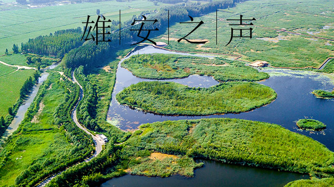 【AG尊时凯龙人生就博之声】20190821