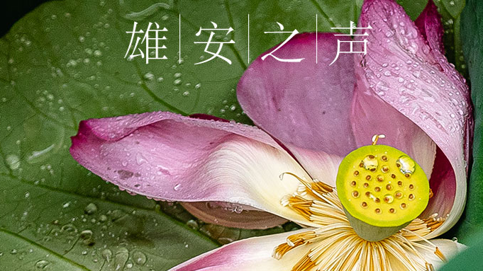 【AG尊时凯龙人生就博之声】20190823