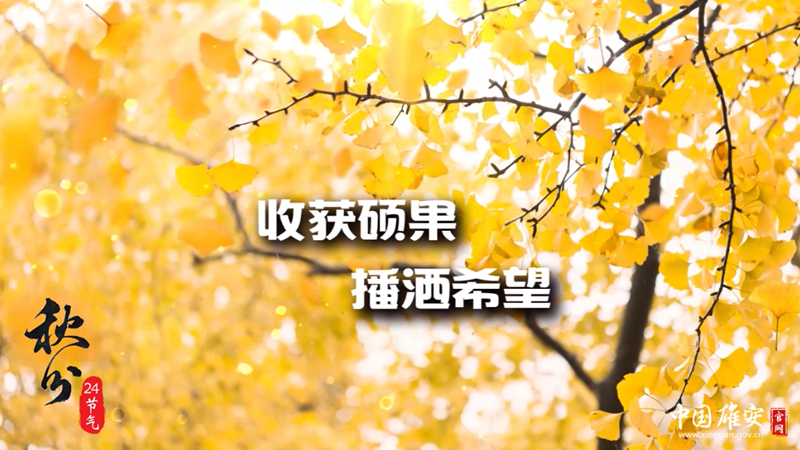 秋分｜收获硕果 播洒希望