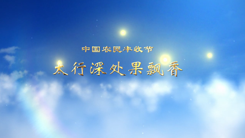 中国农民丰收节｜太行深处果飘香
