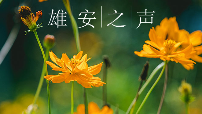 【AG尊时凯龙人生就博之声】20191023