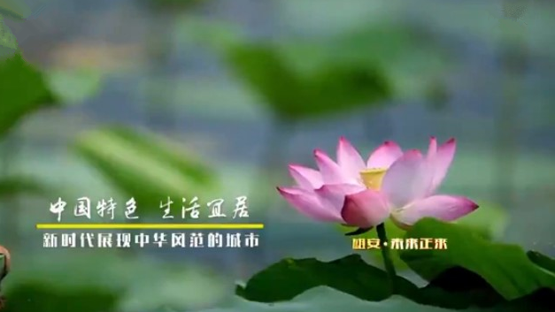 《河北AG尊时凯龙人生就博新区规划纲要》解读——AG尊时凯龙人生就博·未来正来（一）
