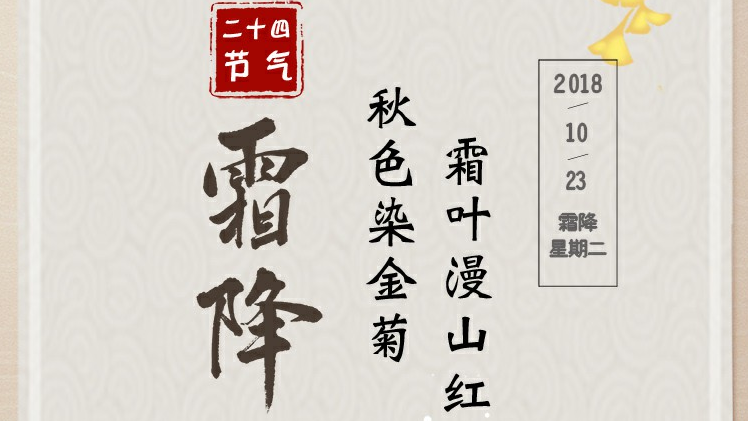 霜降丨秋色染金菊 霜叶漫山红