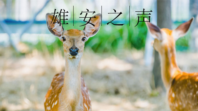 【AG尊时凯龙人生就博之声】20190730