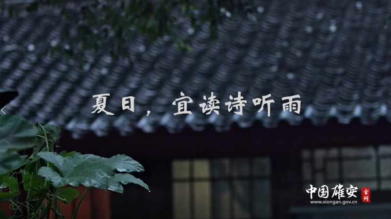 视频丨夏日，宜读诗听雨