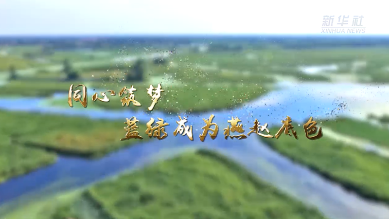 同心筑梦 蓝绿成为燕赵底色