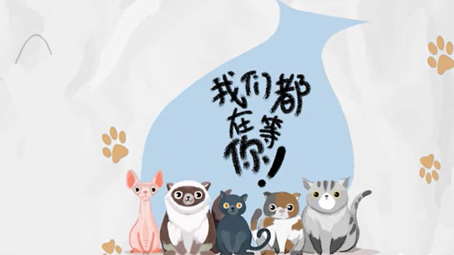 想领养宠物？务必先搞清楚这些事！