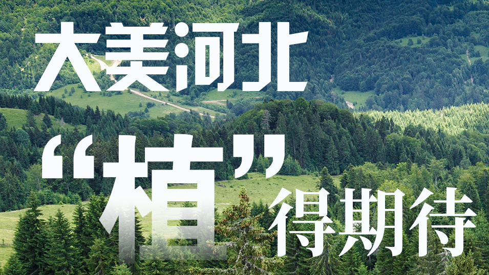 海报派丨大美河北 “植”得期待