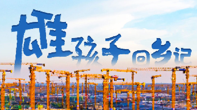 创意视频丨“雄孩子”回乡记