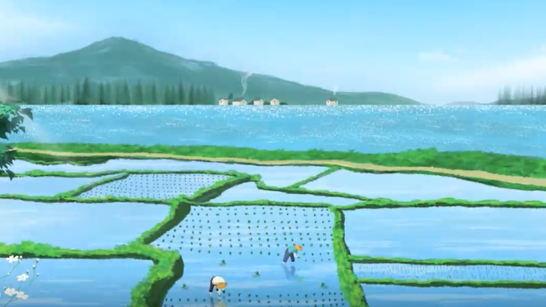 芒种，收获另一个开始