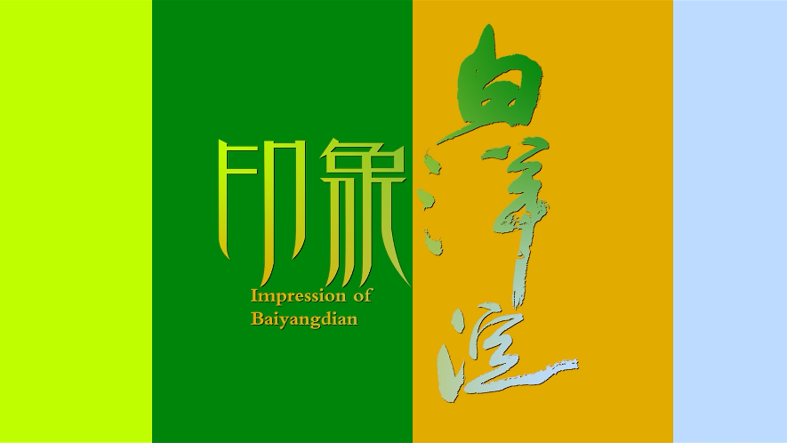 印象·白洋淀